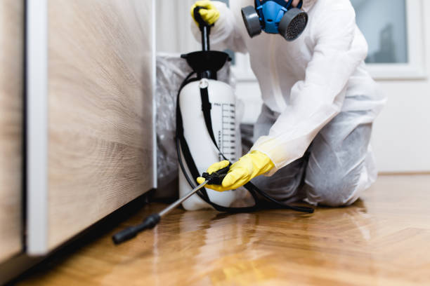 Best Residential Pest Control  in Lenexa, KS