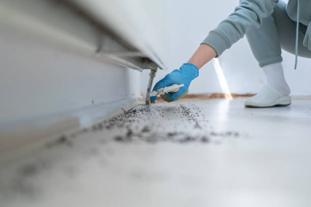 Best Bed Bug Extermination  in Lenexa, KS